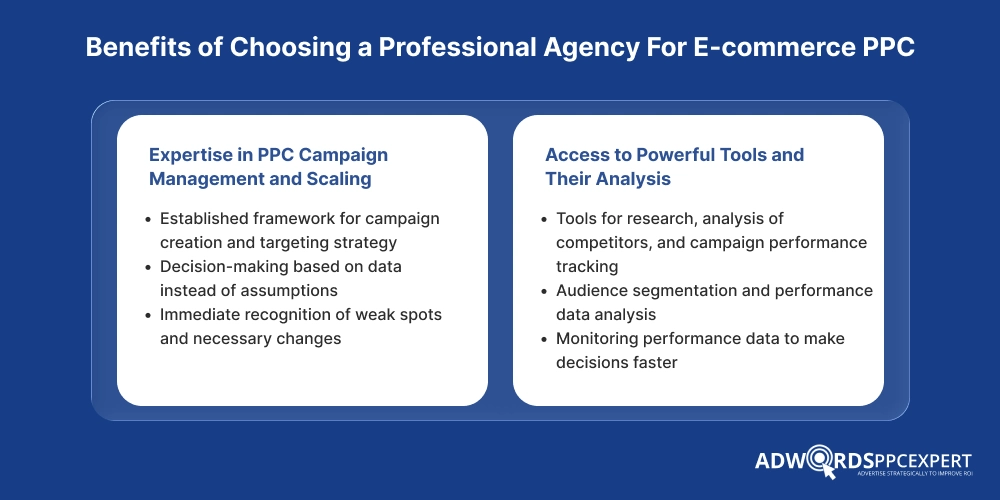 Benefits of Choosing a Professional Agency For E-commerce PPC
