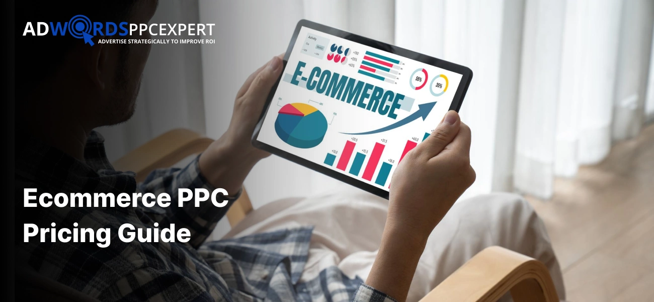 Ecommerce PPC Pricing Guide